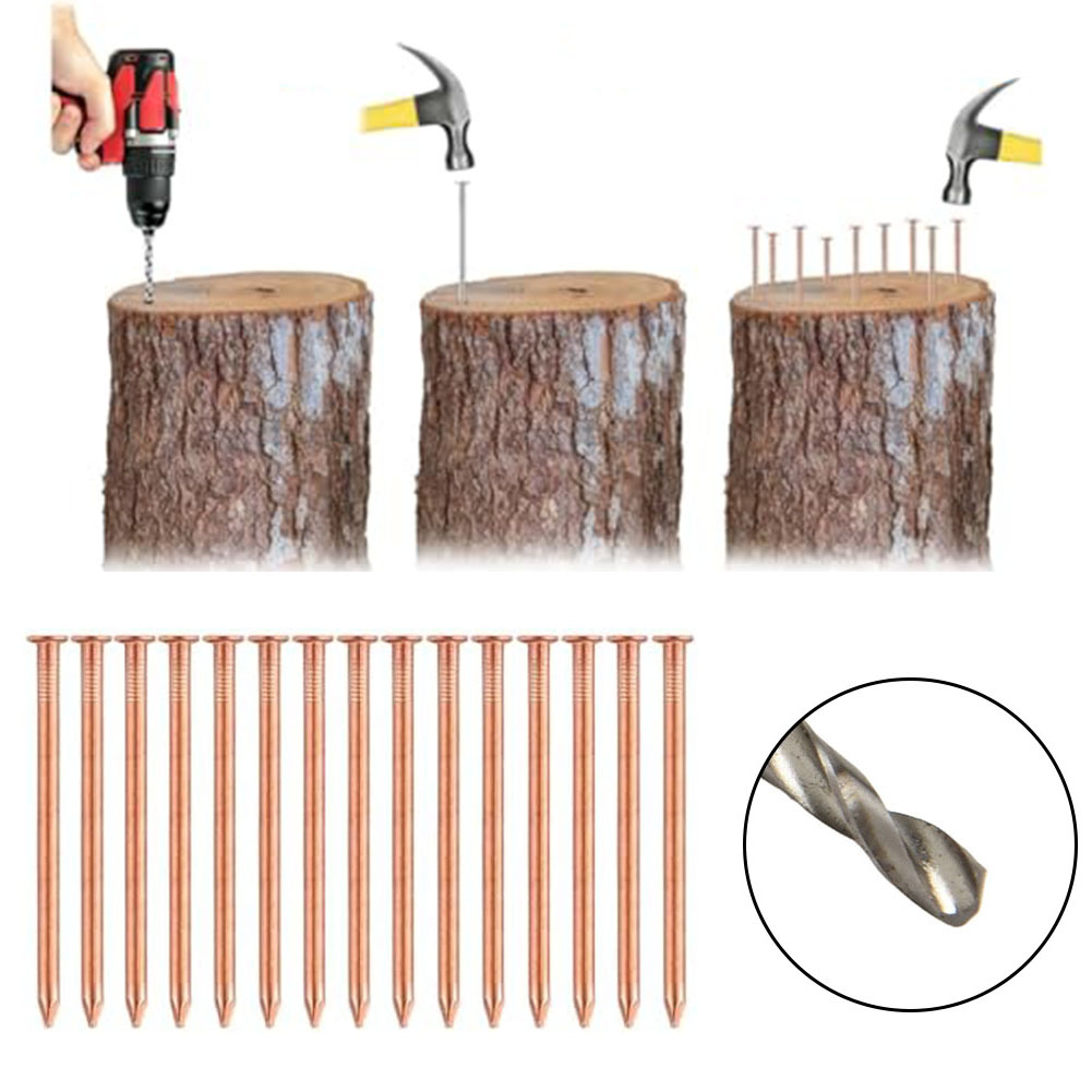 Clous en cuivre massif de 2 po - Gardening Tools Target avis et prix