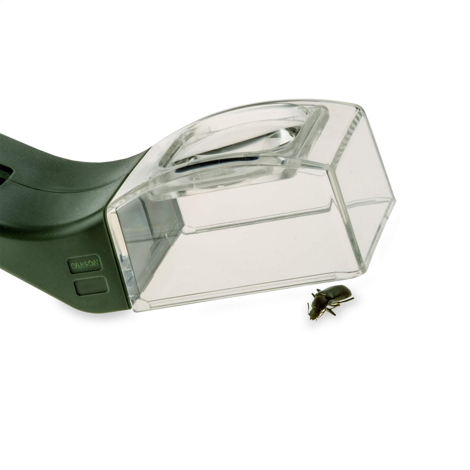 Loupe pour enfants 5X, loupe à - Gardening Tools Girls avis et prix