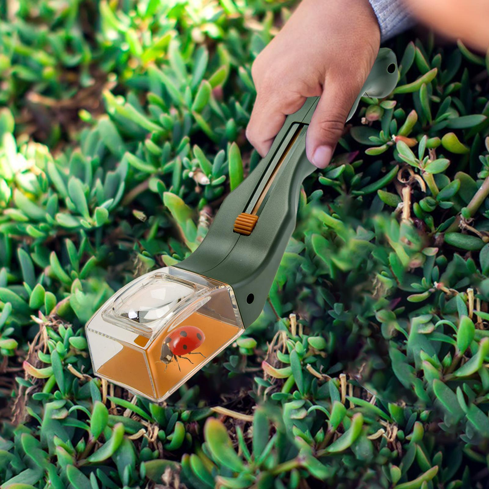 Loupe pour enfants 5X, loupe à - Gardening Tools Girls avis et prix