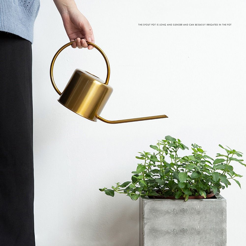 U haute qualité 1.3L plante ar - Gardening Tools High Quality avis et prix