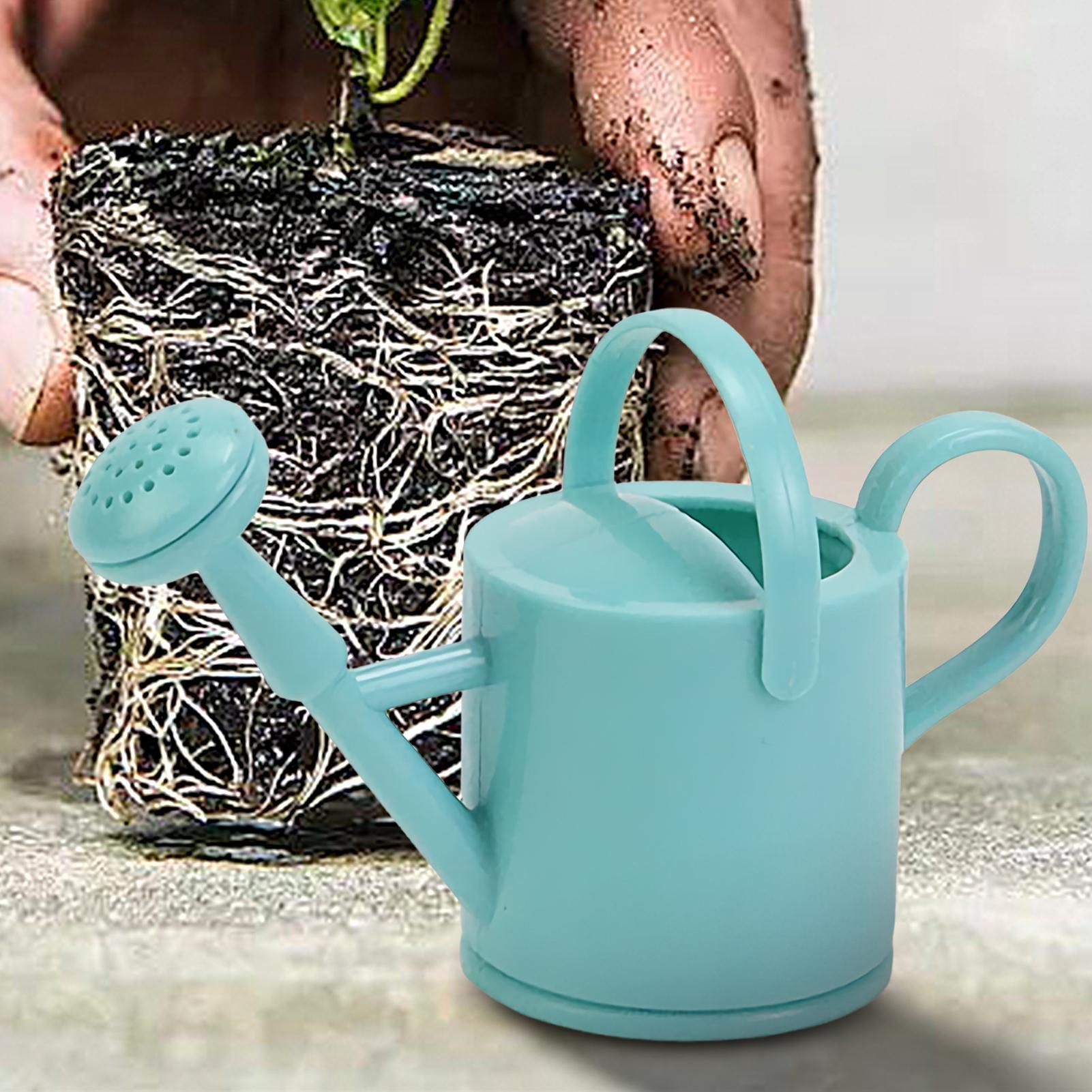 1 arrosoir miniature rotatif p - Gardening Tools Watering Can avis et prix