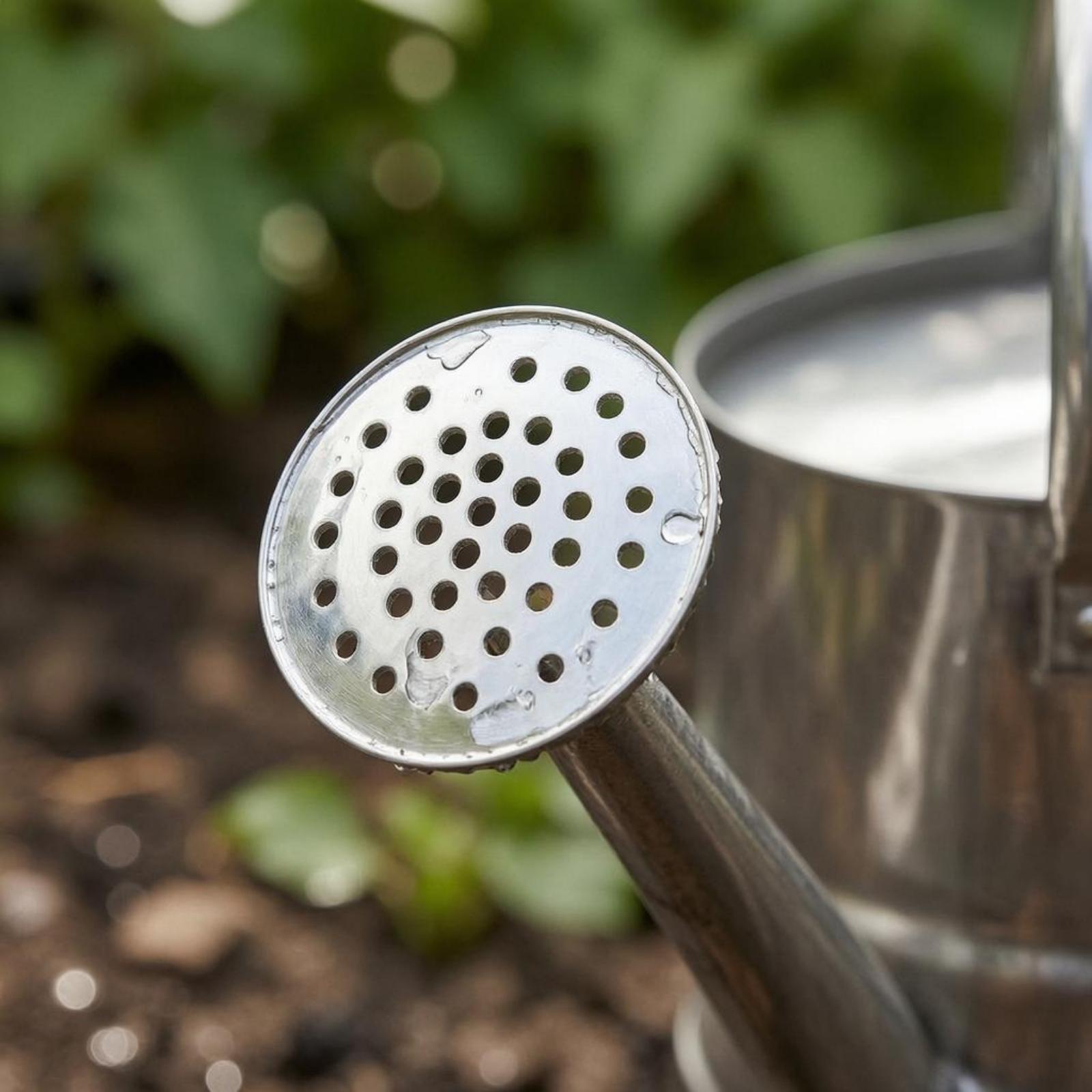 Arrosoir de jardin en acier in - Gardening Tools Watering Can avis et prix