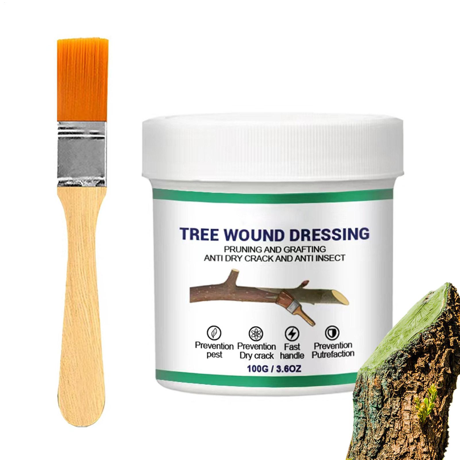 Pâte de greffage d'arbres, Pât - Gardening Tools Repair avis et prix