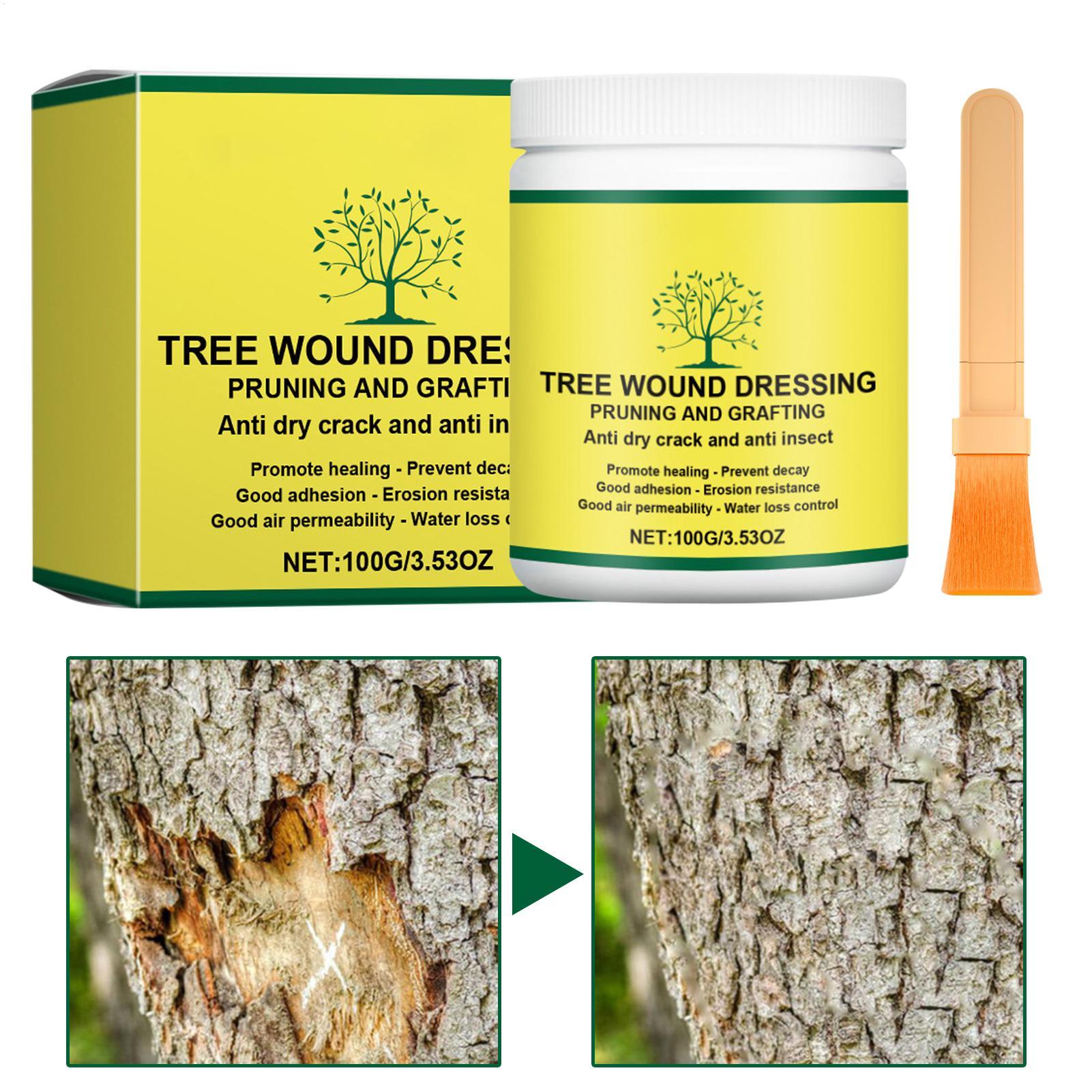 Pâte de greffage d'arbres, Pât - Gardening Tools Repair avis et prix