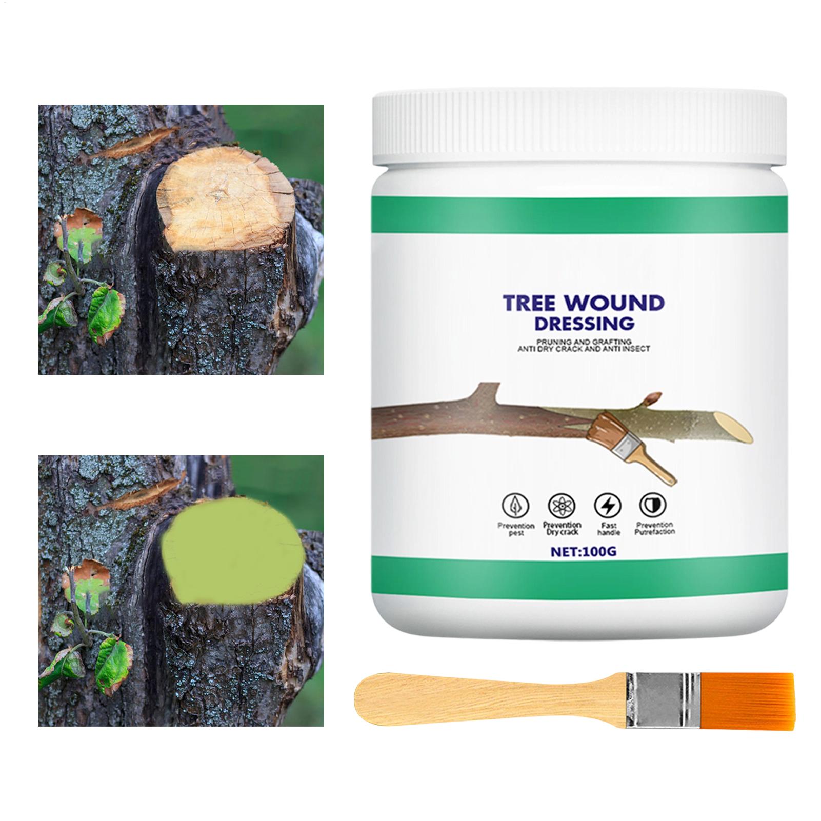 Pâte de greffage d'arbres, Pât - Gardening Tools Repair avis et prix